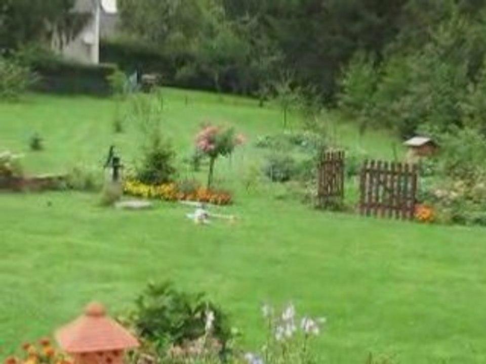 Honey bee king video_05