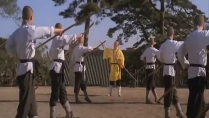 Las Artes marciales de Shaolin JET LI