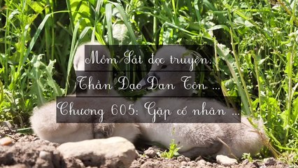 Mới 2024 Chương 601-610: Thần Đạo Đan Tôn