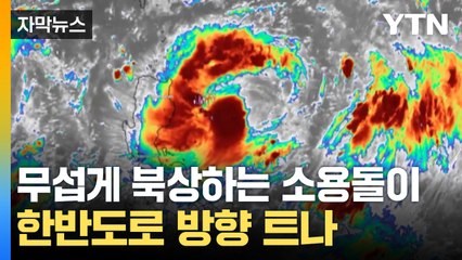 [자막뉴스] 세력 키우는 태풍 '개미'...변화무쌍 진로에 한반도 '긴장' / YTN
