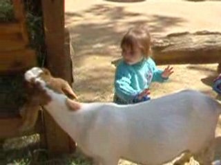 Biquette, biquette!!!