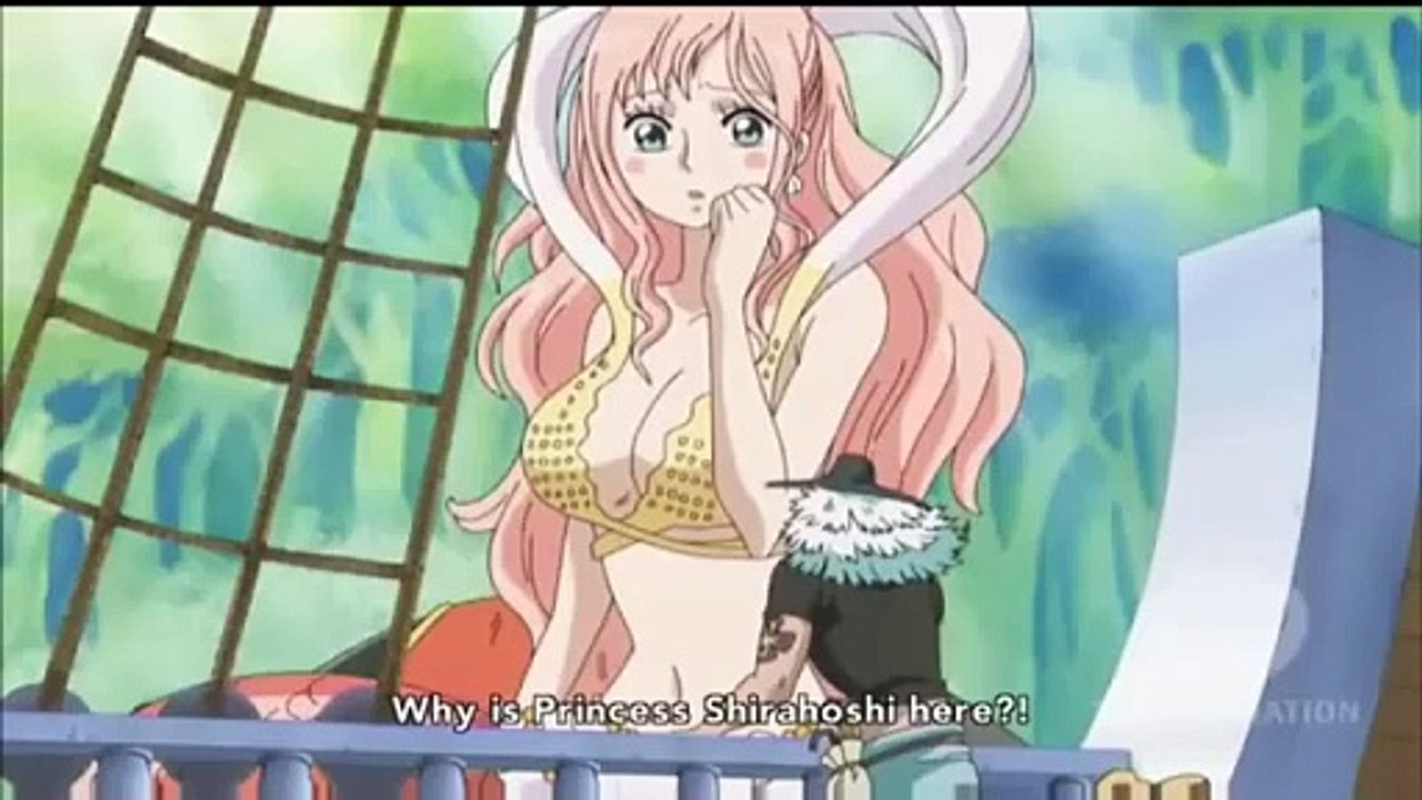 One Piece - Luffy Wtf Moment