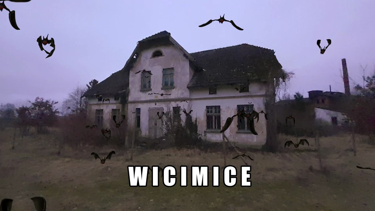 Wicimice