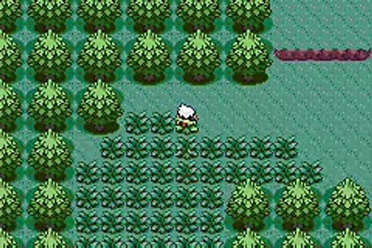 Pokémon Version Rubis online multiplayer - gba
