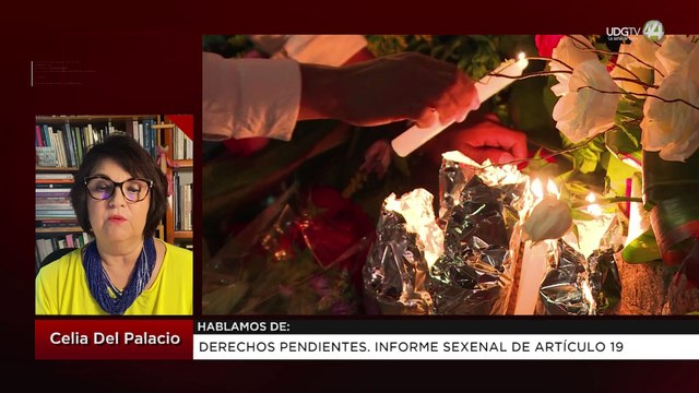 Derechos pendientes. Informe sexenal de Artículo 19: Celia del Palacio