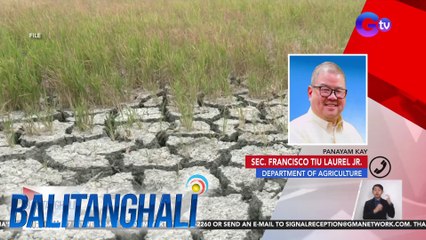 Panayam kay Sec. Fransisco Tiu Laurel Jr. ng Department of Agriculture | Balitanghali