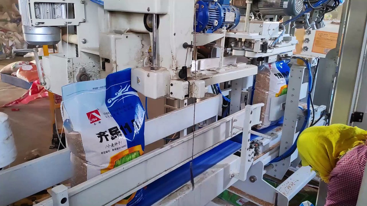 700 Bags/hour Seed Packaging and Palletizing Product Line for 15-25 KG Seeds