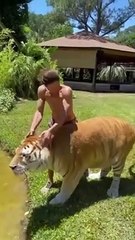 Best Funny Animal Videos of the year 2024, funniest animals ever relax with cute animals video