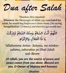 Beautiful heart warming Quran recitation 