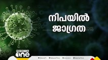 നിപ; കുട്ടി കഴിച്ച അമ്പഴങ്ങ വവ്വാൽ കടിച്ചതോ? ഉറവിടം കണ്ടെത്താൻ ശ്രമം തുടരും | Nipah Virus