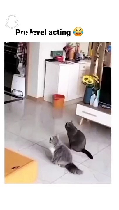 Pro level acting
