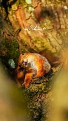 Allah has created us!