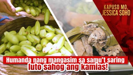 Pustahan sa karera ng tao at kalapati, umaabot ng libo-libong piso! | Kapuso Mo, Jessica Soho