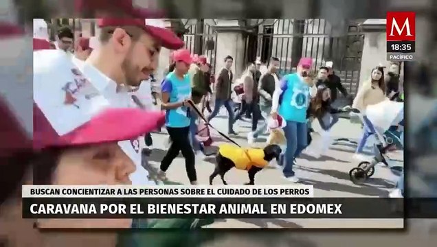 Delfina Gómez encabeza la primera 'Caminata por el Bienestar Animal' en el Estado de México