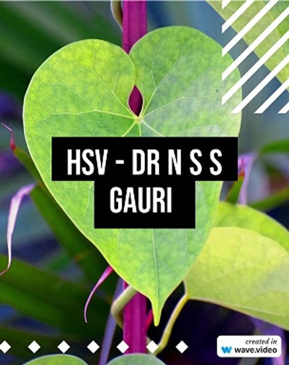 HSV - Dr N S S Gauri