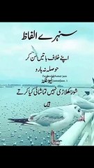 شور کھلاڑی نہیں بلکہ تماشائی کیا کرتے ہیں #trending#viral#shorts#islamic#dailymotion#foryou