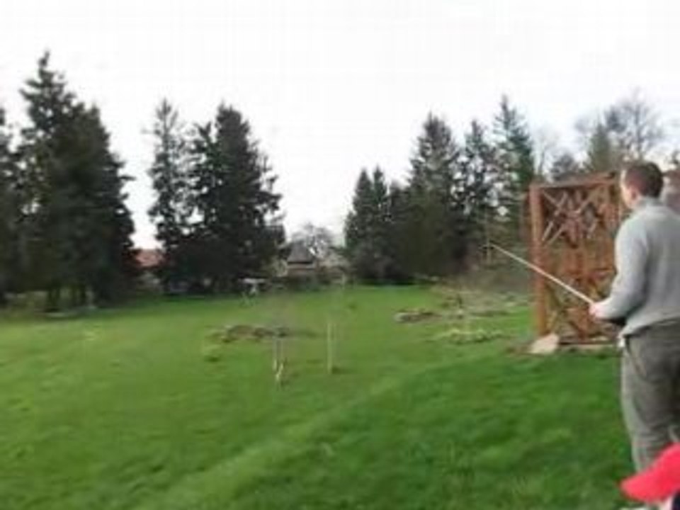 Honey bee king video_09