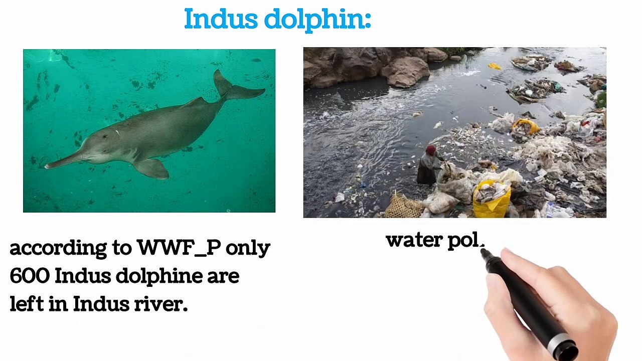 Endangered species in Pakistan in Urdu / in Hindi | lecture # 15 | Biodiversity | chapter # 3 | 9 class biology