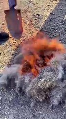 Folding Military Shove #shorts #shortvideo #video #virals #videovira #innovationhub