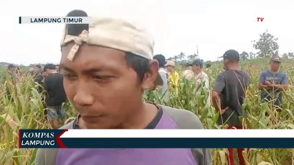 Video herunterladen: Geger! Warga Temukan Mayat dalam Karung di Kebun Jagung