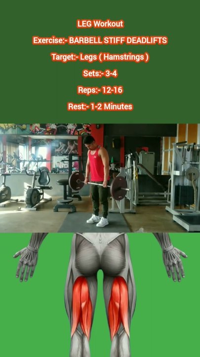 ❌ BARBELL STIFF DEADLIFTS ✔️ How can I Build My LEGS Bigger?  #heermlgangaputra #naturalbodybuilding #workout #exercise #fitness #gym #muscle #training