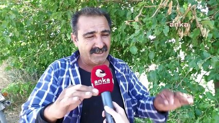 Manisa’da domates üreticileri fabrikalara tepkili