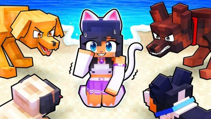 ONE CAT on a DOGS ONLY island!