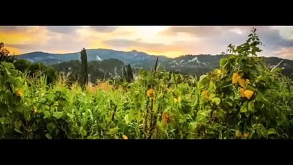 TRANDING INSTAGRAM SONG LOFI MASHUP SONG