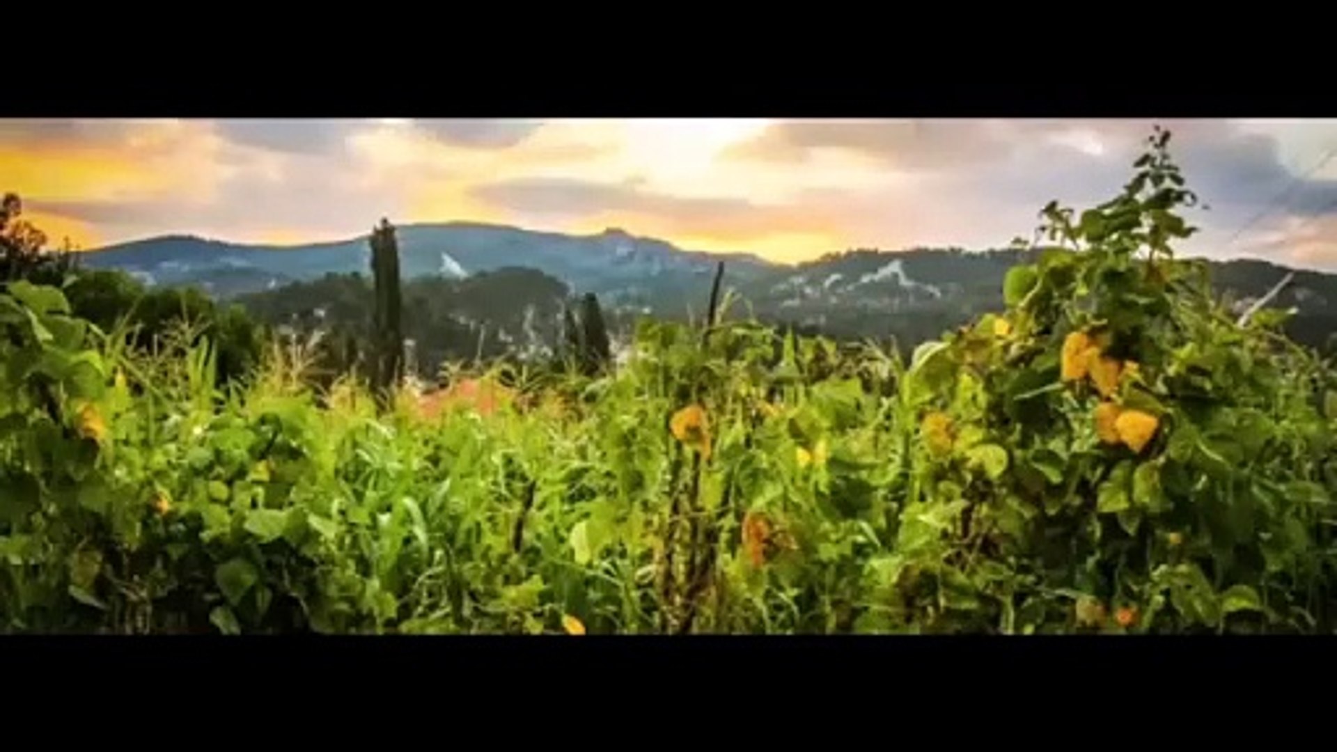 ⁣TRANDING INSTAGRAM SONG LOFI MASHUP SONG