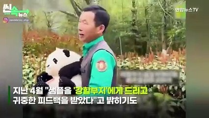 [씬속뉴스] 59만원 푸바오 인형, "똑 닮았네" vs "실제 털인가?"…고가에 '시끌'