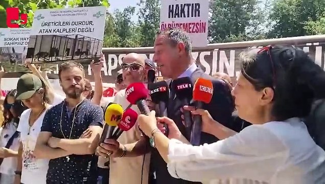 ‘Katliam Yasası’ görüşülüyor: Biz Meclis’te mücadele edeceğiz, 85 milyon sokakta dirensin | Haber: Seda TAŞKIN