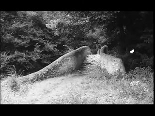 L'enfant sauvage - 1970