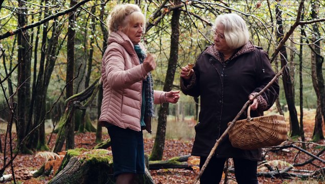 Quand vient l’automne Teaser VF