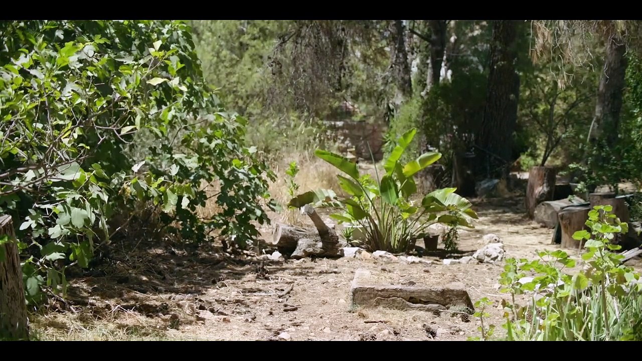 A House in Jerusalem - Trailer