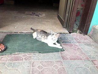 Pakistan Tour 2023 Part-92