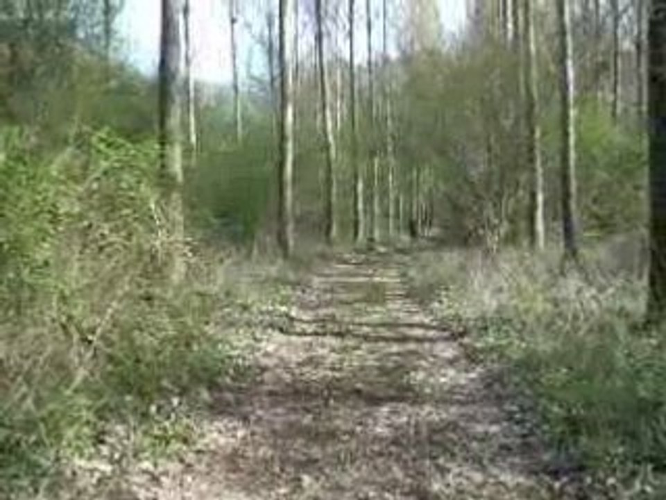 LE PETIT CHEMIN
