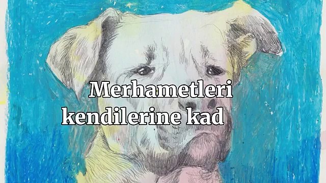 Sezan Aksu ve Ceylan Ertem “ötanazi”ye karşı şarkı söyledi: 'Bizi Unutma'