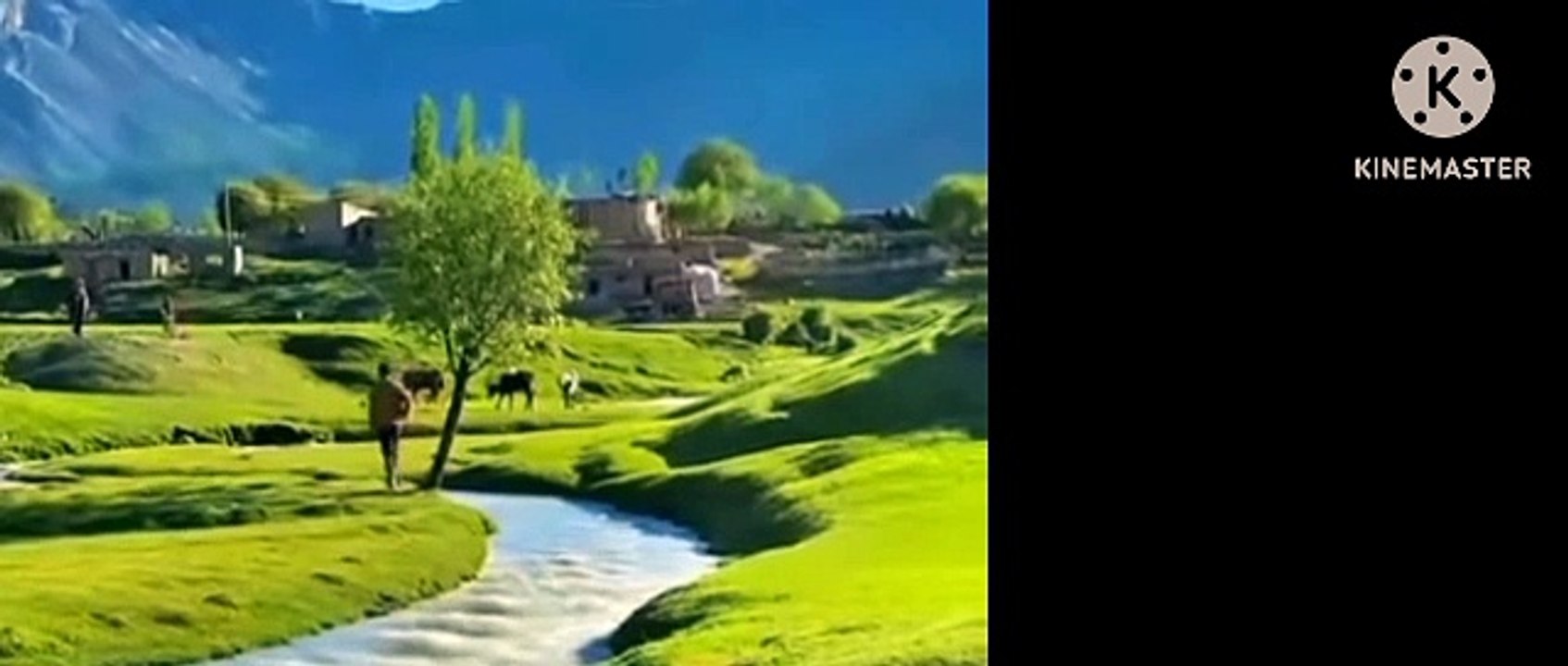 Pothwari saaz ❤️