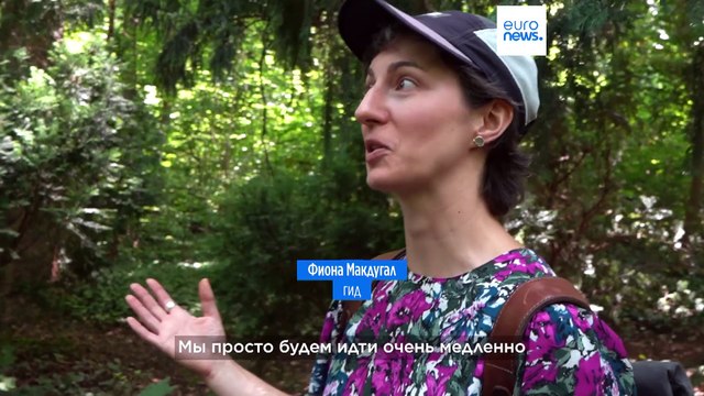 Прогулка по лесу как терапия