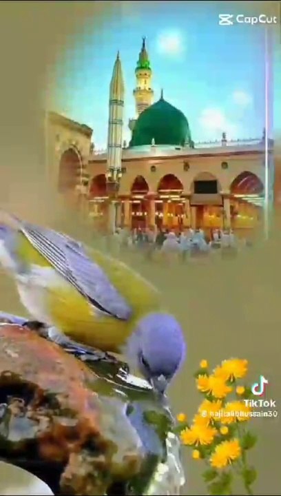 1000039153ho  and style my aalha video