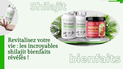 Shilajit Bienfaits