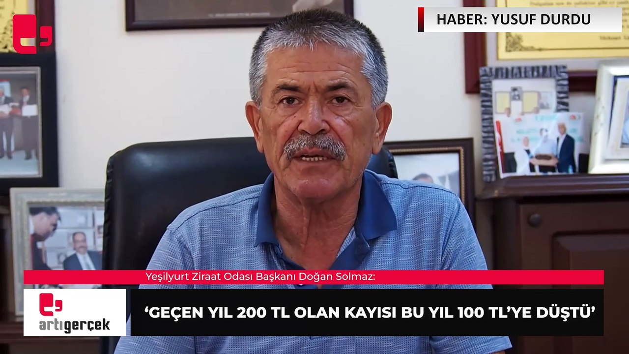 Yeşilyurt Ziraat Odası Başkanı Doğan Solmaz: Geçen yıl 200 TL olan kayısı bu yıl 100 TL'ye düştü | Haber: Yusuf DURDU
