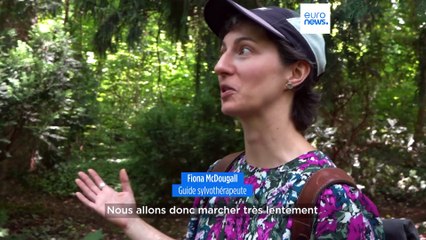La sylvothérapie séduit de plus en plus de citadins allemands