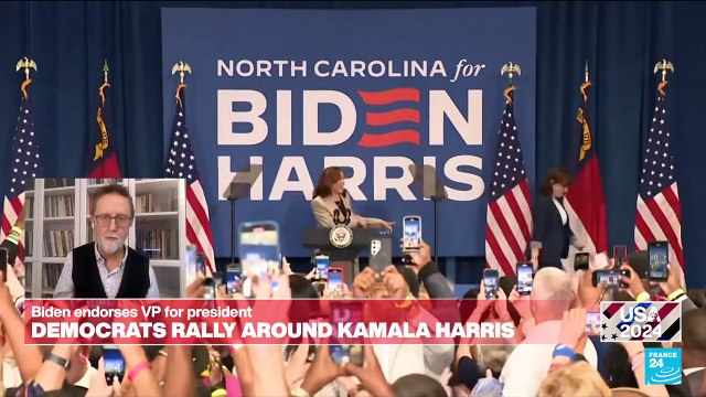 Kamala Harris’ presidential bid a done deal, specialist says