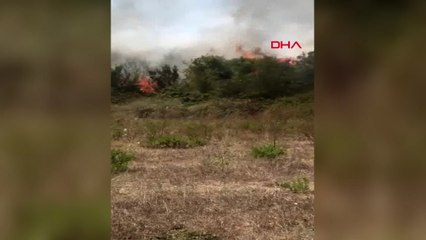 Manavgat'ta çalılık yangını