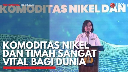 Komoditas Nikel dan Timah Sangat Vital bagi Dunia
