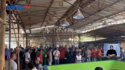 Polisi Gerebek Lokasi Judi Sabung Ayam di Bekasi, 70 Orang Diamankan