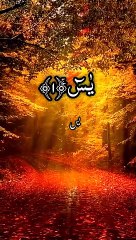Surah yaseen Tilawatul_Quran beautiful voice translation Urdu