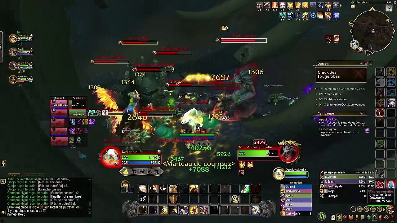 [WoW DF] Creux des fourgerobes Paladin Tank