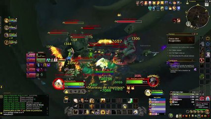 [WoW DF] Creux des fourgerobes Paladin Tank